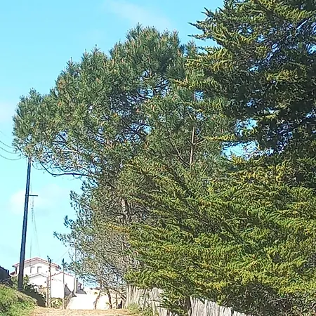 Lägenhet Le Cosy Zen Des Sables Avec Wifi-plage A 500m