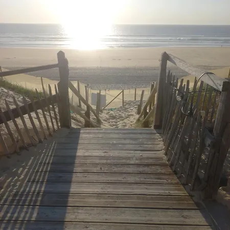 Le Cosy Zen Des Sables Avec Wifi-plage A 500m Lägenhet Mimizan-Plage