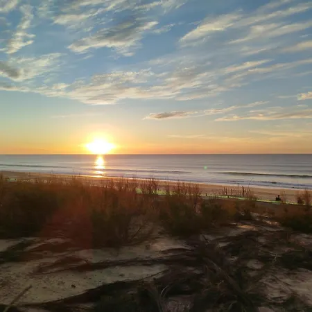 Le Cosy Zen Des Sables Avec Wifi-plage A 500m Lägenhet Mimizan-Plage