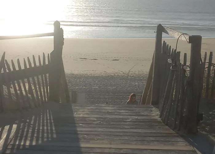 Lejlighed Cosy Zen Des Sables Avec Wifi-Ocean A 500M