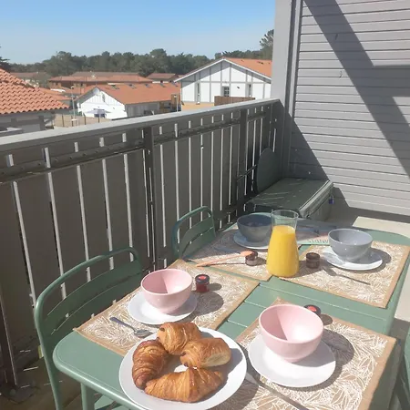 Apartment Le Zen Des Sables Avec Wifi-ocean A 500m *