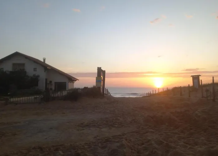 Cosy Zen Des Sables Avec Wifi-ocean A 500m Mimizan-Plage